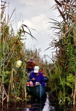 Danube Delta Picture 11