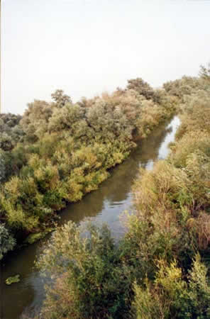 Danube Delta Picture 16