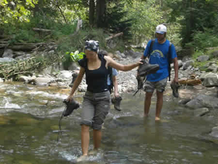 Apuseni Mountains Picture 2