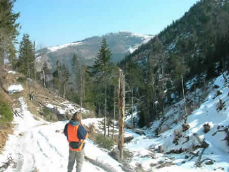 Apuseni Mountains Picture 10