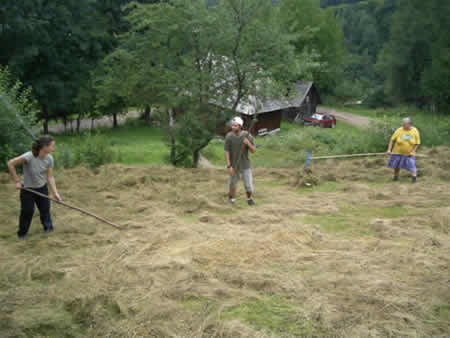 Apuseni Mountains Picture 12