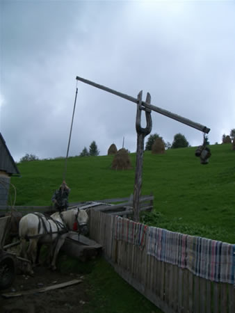 Apuseni Mountains Picture 13