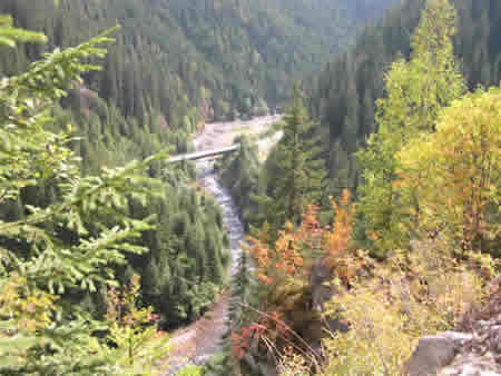 Apuseni Mountains Picture 20