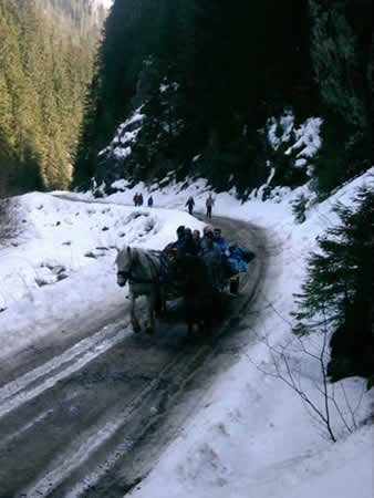 Apuseni Mountains Picture 23