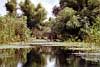 Danube Delta Picture 8