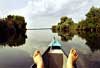 Danube Delta Picture 9