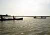 Danube Delta Picture 12