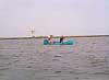 Danube Delta Picture 14