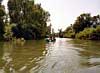 Danube Delta Picture 17