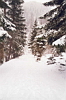 Apuseni Mountains Picture 3