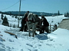 Apuseni Mountains Picture 11