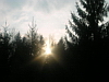 Apuseni Mountains Picture 18